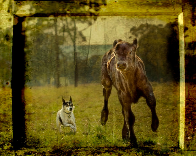 day 18. overlays. katee & calf 3