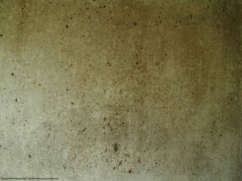 wall4.jpg