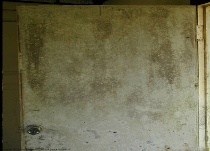 door-s4w.jpg