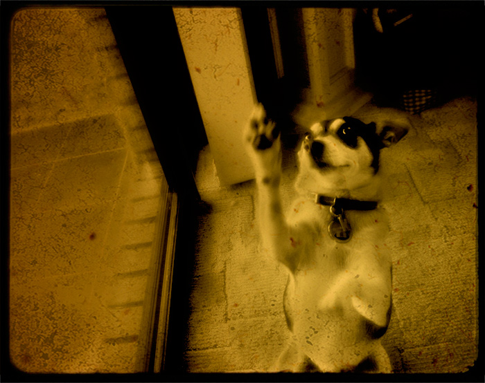 day 1. slice of life december. another high five
