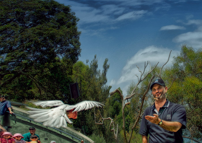 IMG_30444-bird-show-s4w.jpg