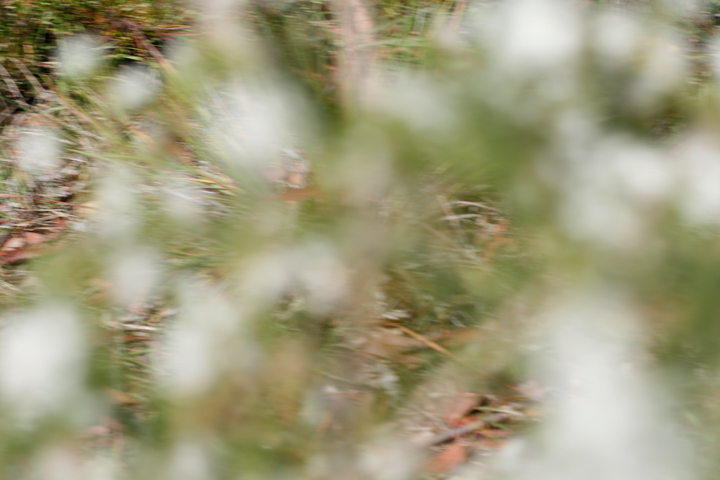 blur13-s4w.jpg