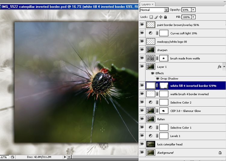 IMG_5522-caterpillar-WORKFLOW-s4w.jpg