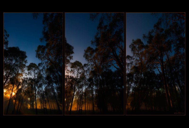 15-feb 09 diptychs. sunrise