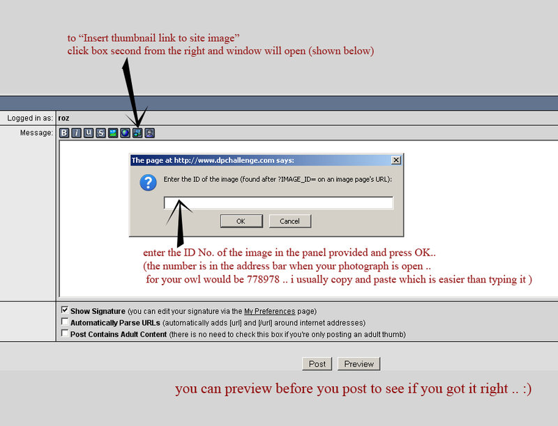 screen-shot-for-posting-thumb.jpg