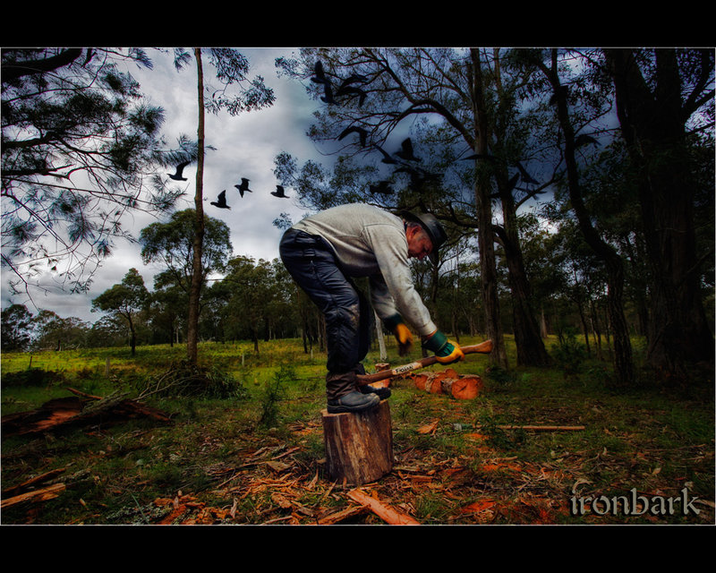 1-june 09 where i live. ironbark