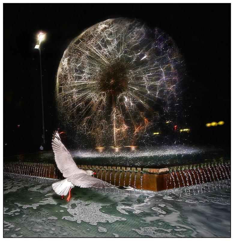 24-august 09 snapshots. kings cross fountain and seagull