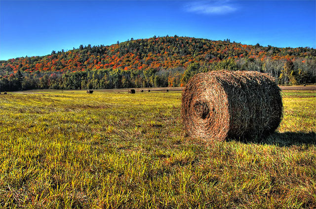 Shaker Farm in Autumn