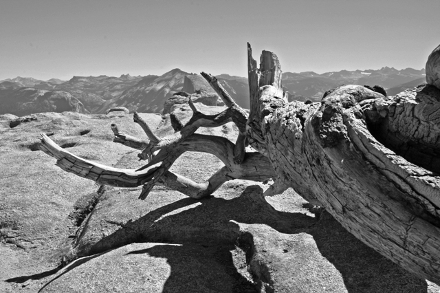 Sentinel Dome