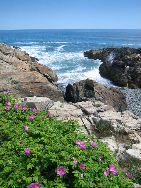Oqunquit-Ocean-Walk.jpg
