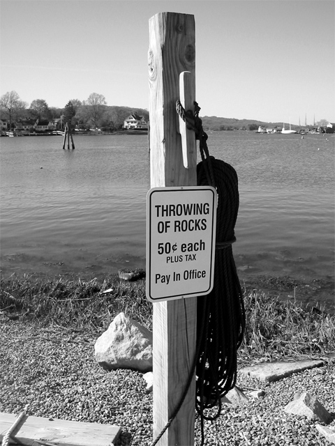 Day 15 Throwing Rocks