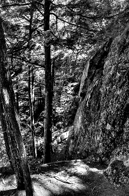 Day 25 - Mt Ascutney.jpg