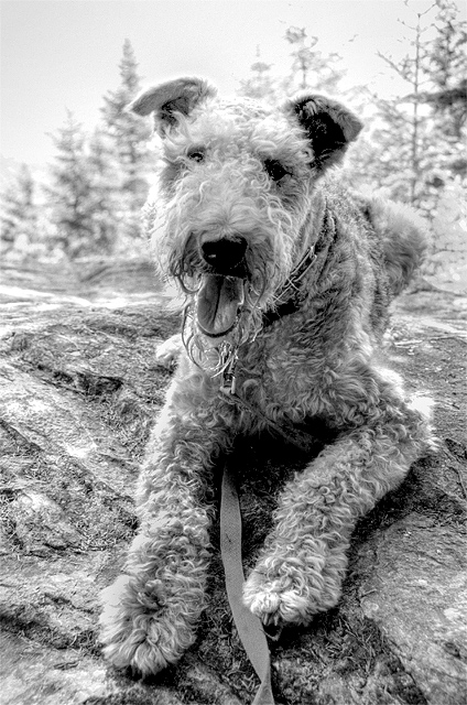Day 26 - Caly Hiking.jpg