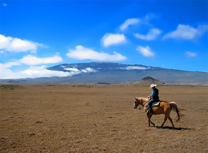 Cowgirl on the Big Island