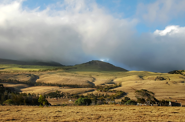 Waimea-Country.jpg