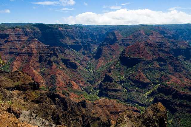 Waimea-Canyon-1.jpg