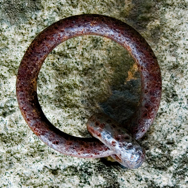 Q
