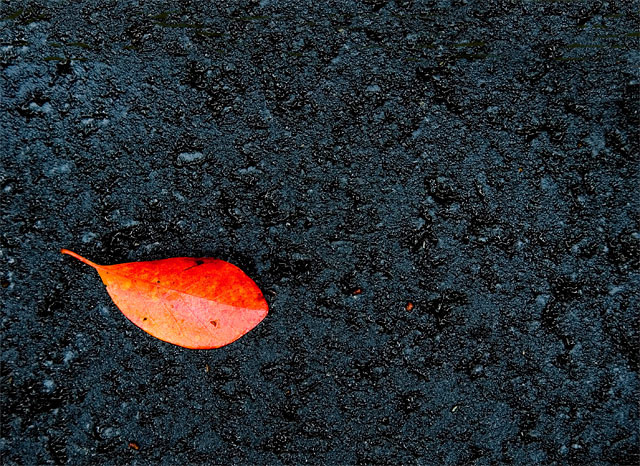 October-walkabout-3