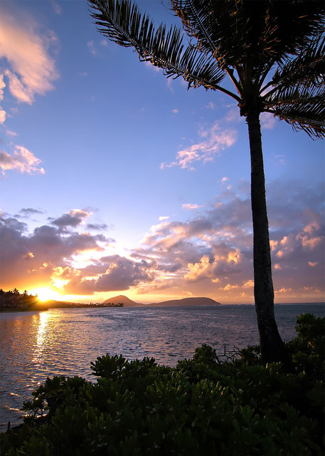 Kahala Sunrise