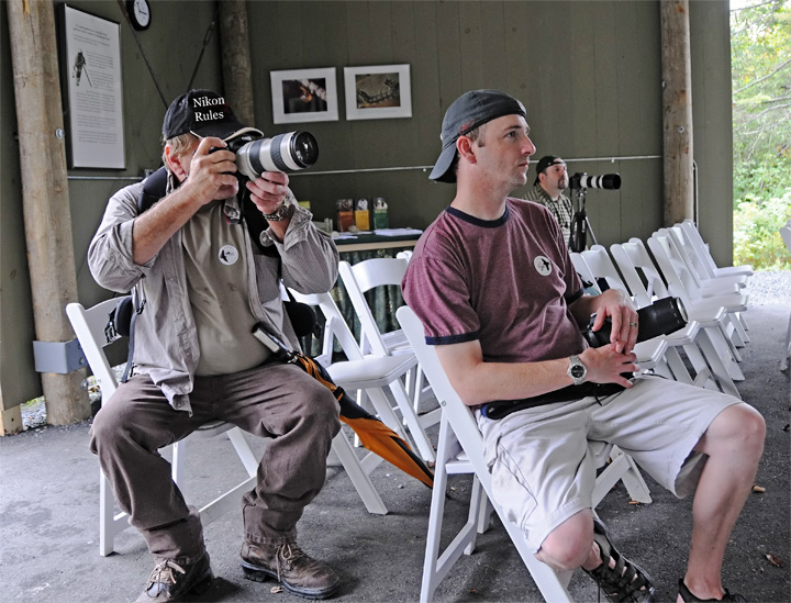 Bird Paparazzi