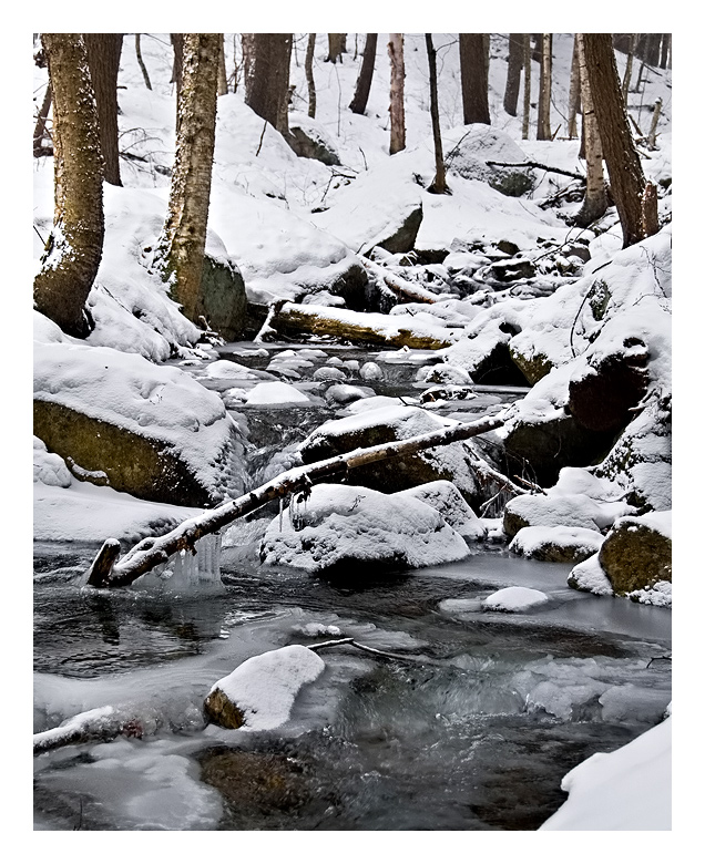 January 2009 Alternate