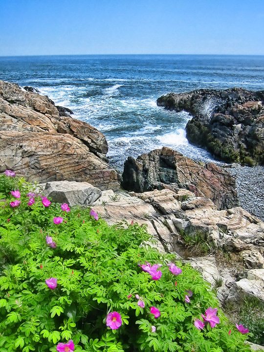 Ogunquit Rocks