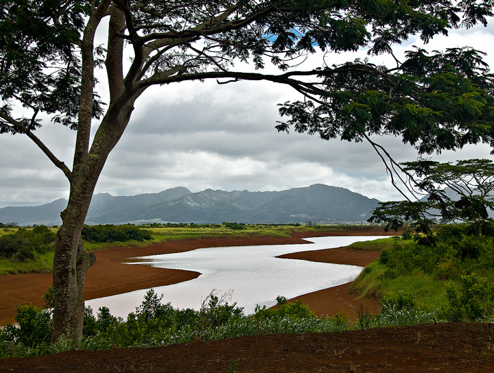 Up Country Oahu