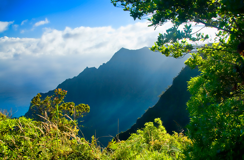 Napali