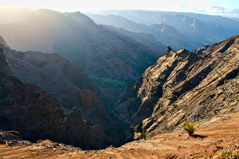 Waimea Canyon