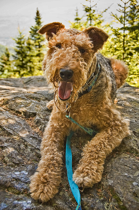 Caly Hiking