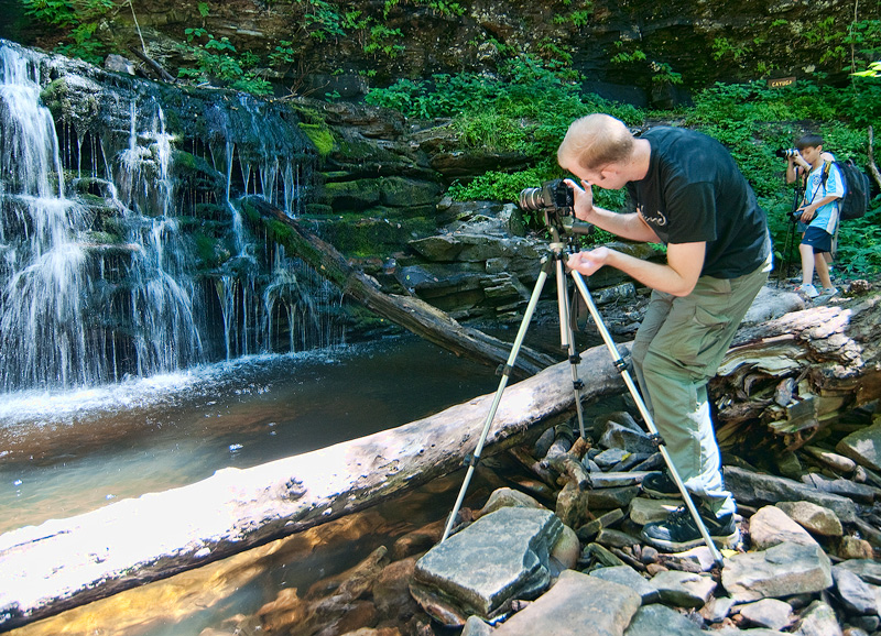 mycelium at the falls