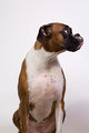 Zoe_shoot20070114000221.jpg