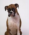 Zoe_Shot20070112000211.jpg
