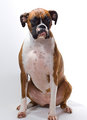 Zoe_Shot20070112000213.jpg