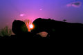 Sherri_Zoe032807 copy.jpg