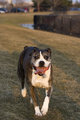 Zoe_Lily_park040107.jpg
