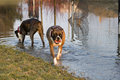 Zoe_Lily_park040107_2.jpg