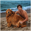 Beach Buddies 1