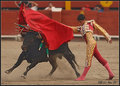 Jairo Miguel Sanchez 6