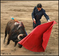 Vicente Barrera 3