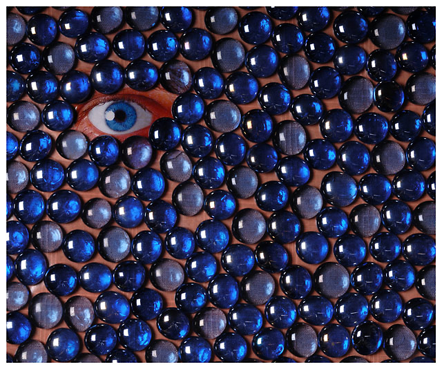 Where Is Waldo?