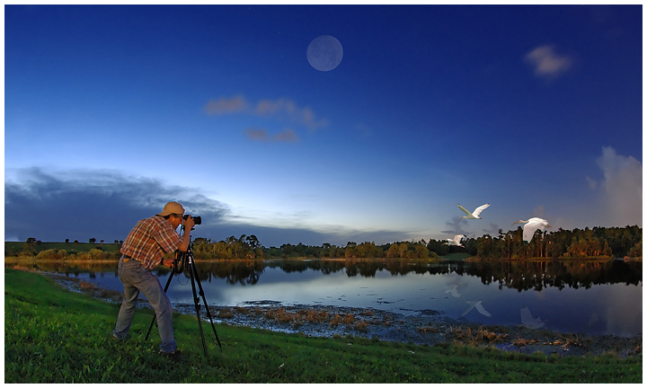 Shooting Birds At Dawn