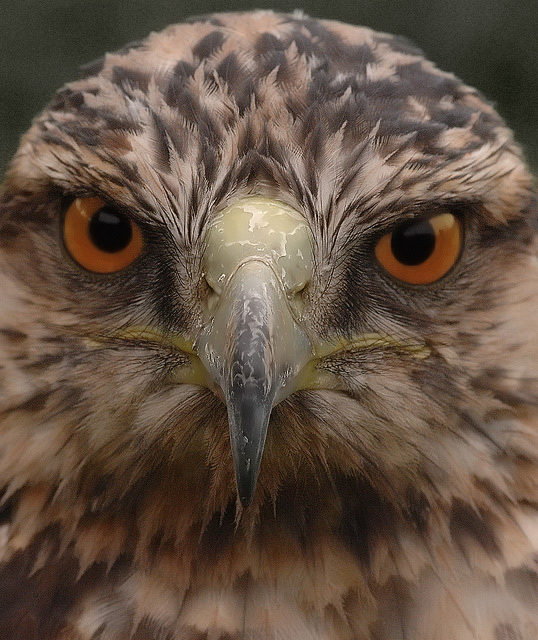Concentration