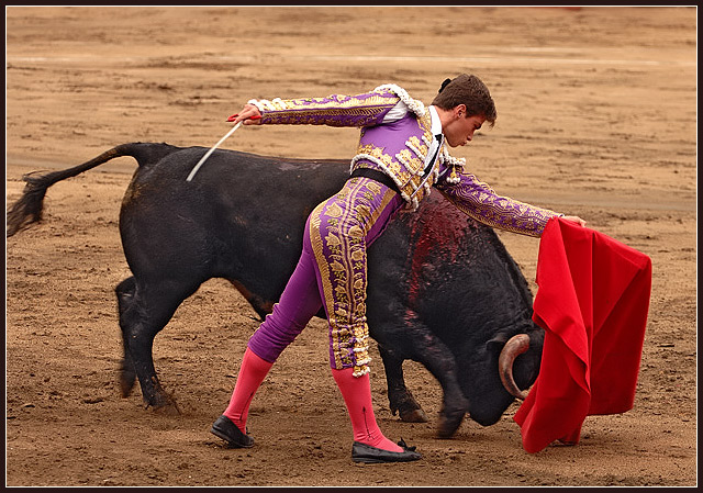 Eduardo Gallo 3