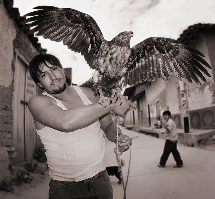 DSC_0824-bw-dpc.jpg