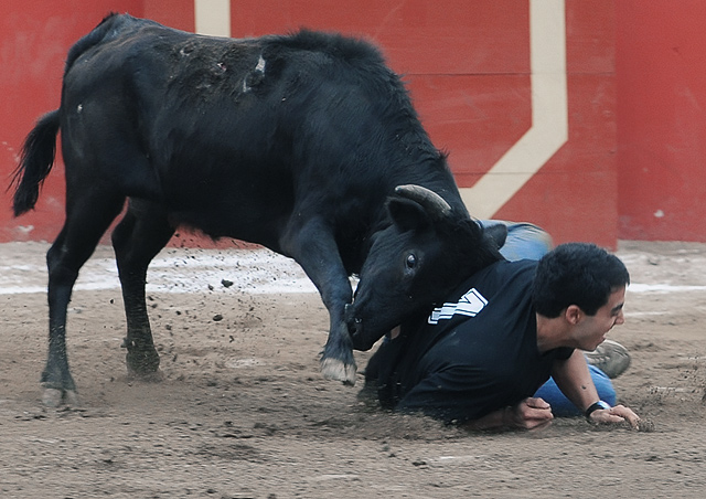 DSC_3357-dpc1.jpg