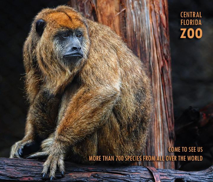 Promote Your Zoo Outtake 5