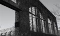 Arched Windows.jpg