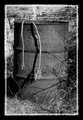 TrashCan BW.jpg