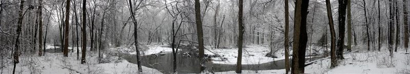 Pennypack Watershed In Winter.jpg